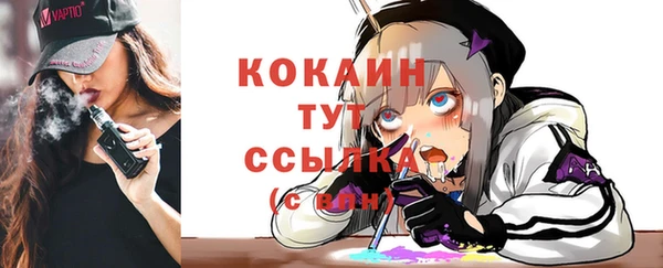 дживик Бронницы