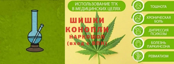 дживик Бронницы