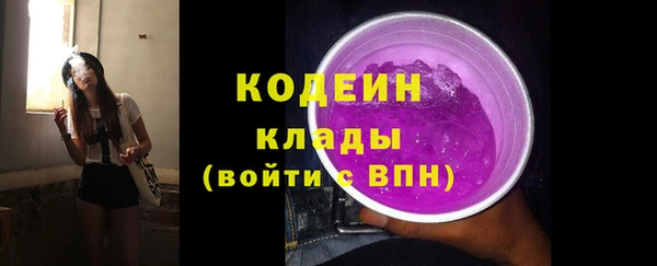 дживик Бронницы