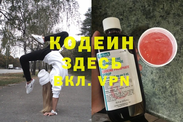 шишки Слюдянка