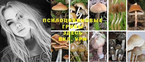 кокаин Бородино