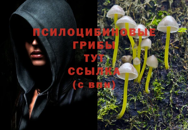 кокаин Бородино