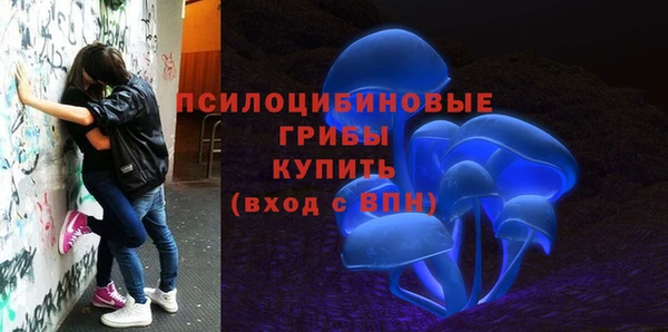 шишки Слюдянка