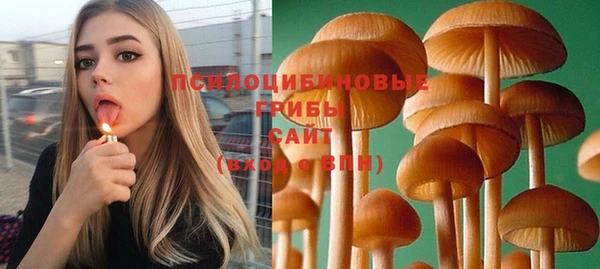 шишки Слюдянка