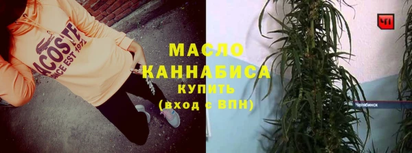 дживик Бронницы