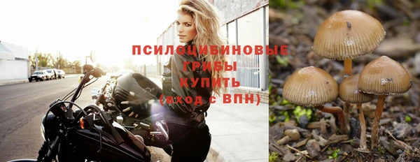 шишки Бугульма