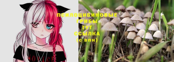 кокаин Бородино