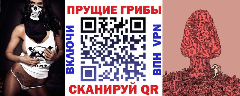 Псилоцибиновые грибы Psilocybe  сайты даркнета официальный сайт  Тихорецк 